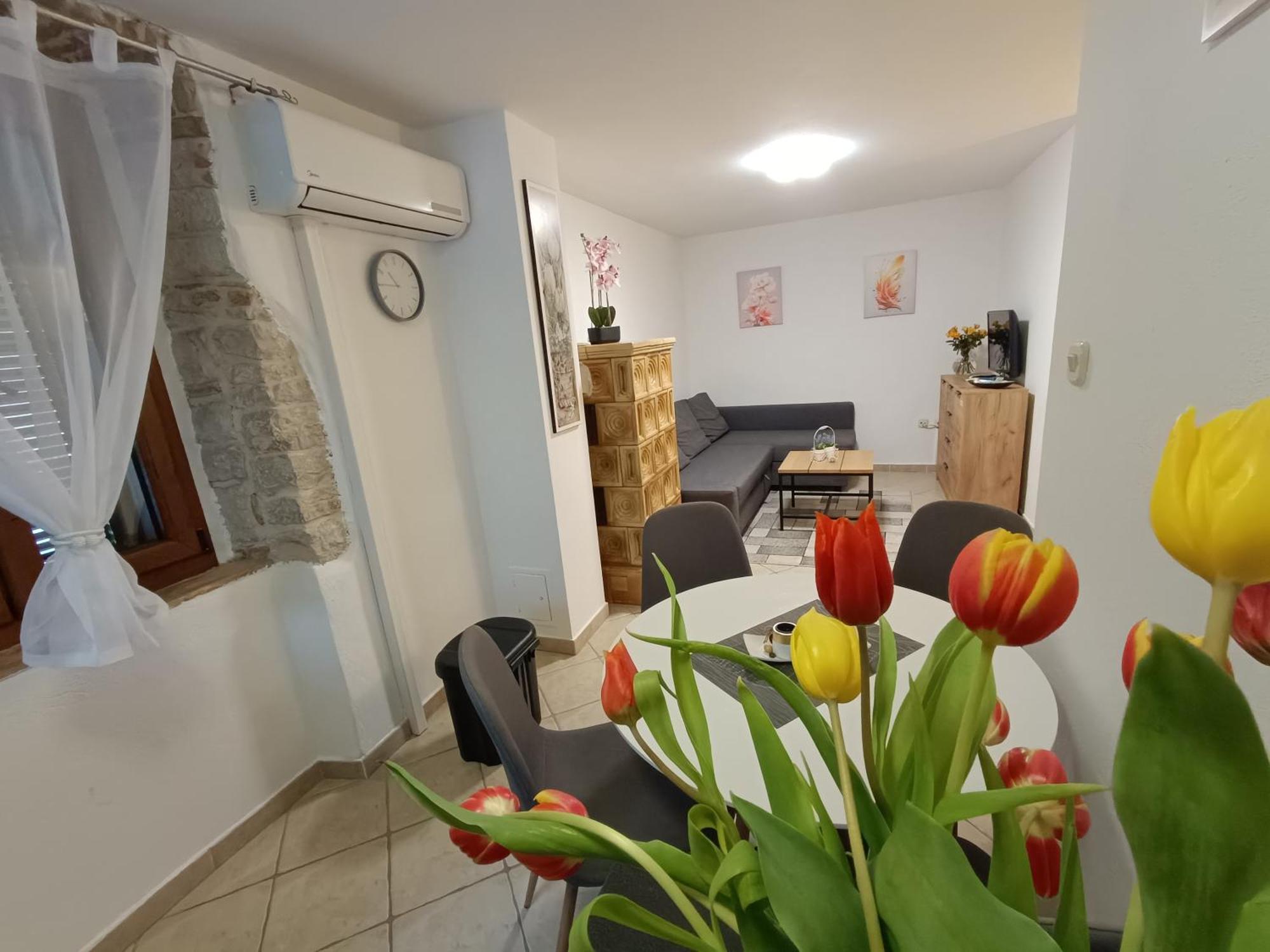 Adria Pearl Appartments Vrsar Exterior photo
